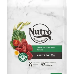 Nutro Natural Choice Adult Lamb & Rice Dry Dog Food - 5 lb Bag