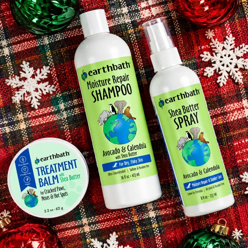 Holiday Glow-Up Kit - Image 2