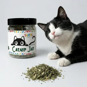 Skatrs Catnip Jar for Cats