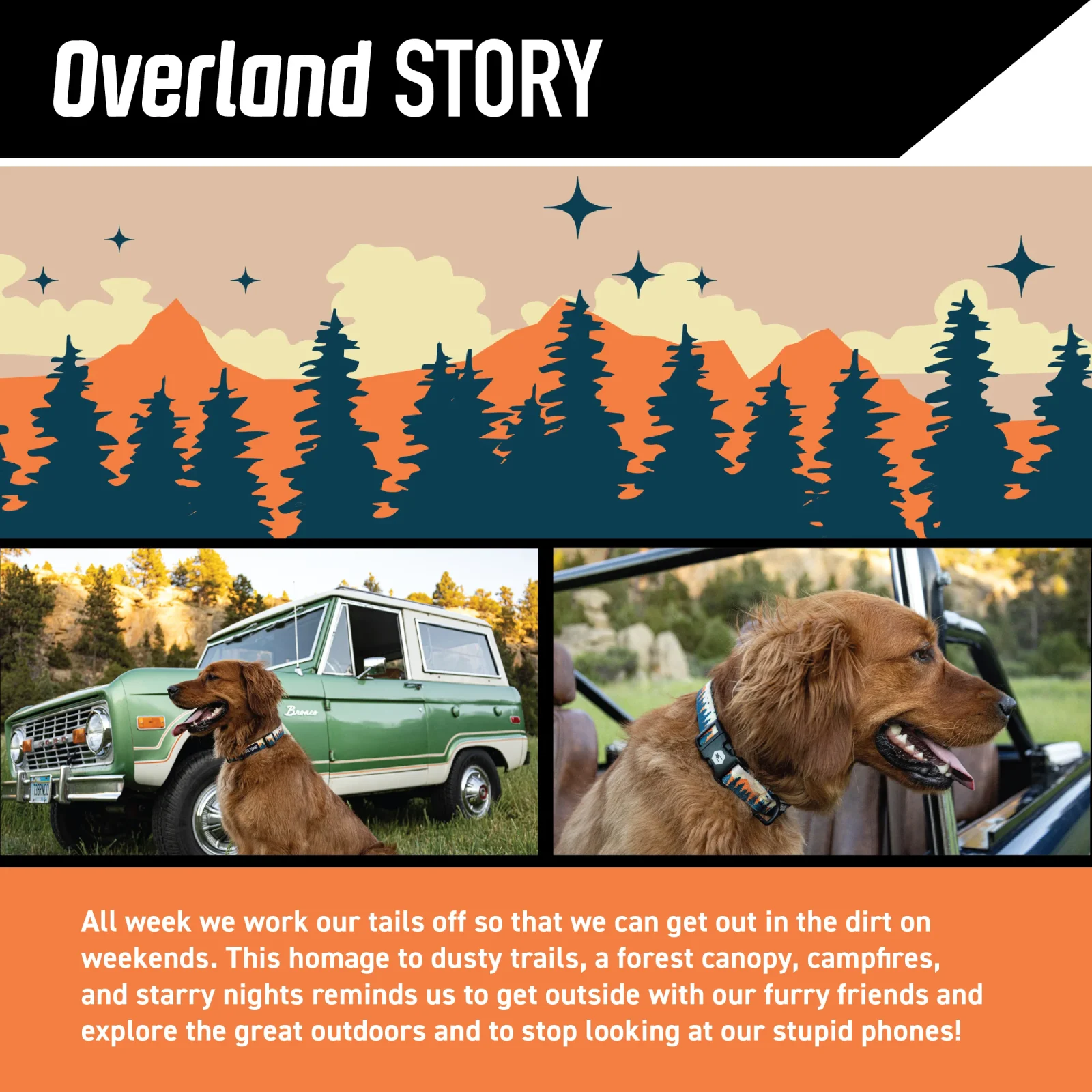 OverLand Wide Dog Collar - Image 2
