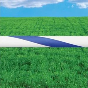 Clean Run Jump Bars, Tapeless - 4 ft.