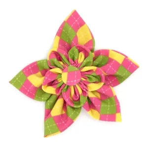 Bright Argyle Flower Collar Slider