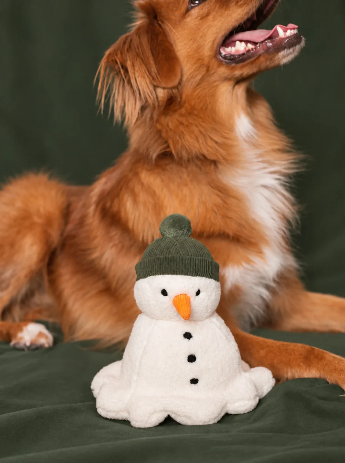 THE MELTING SNOWMAN DOG TOY - Image 2