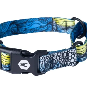 DawnPatrol Martingale Dog Collar