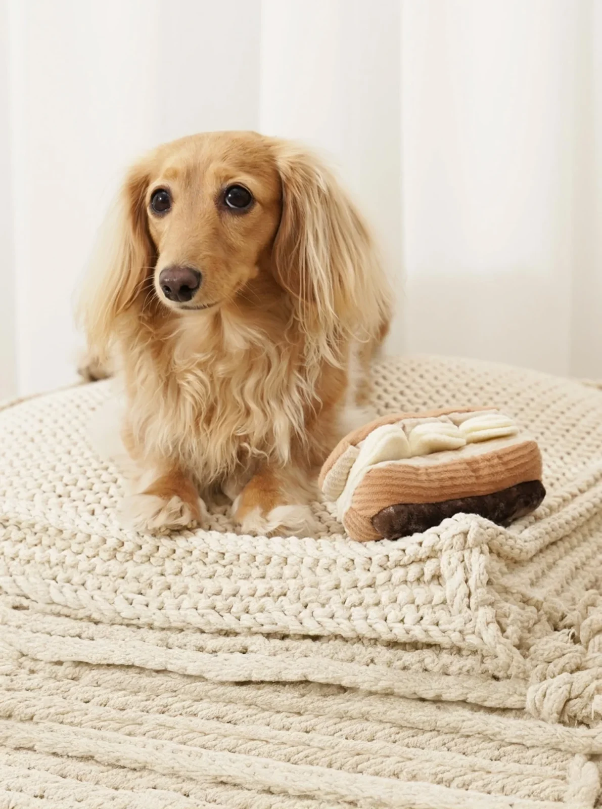 ECLAIR ENRICHMENT DOG TOY - Image 2