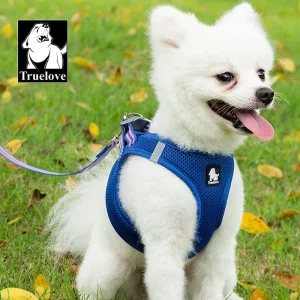 Truelove Mesh Harness & Leash Set for Cats & Small & Medium Dogs (Royal Blue)