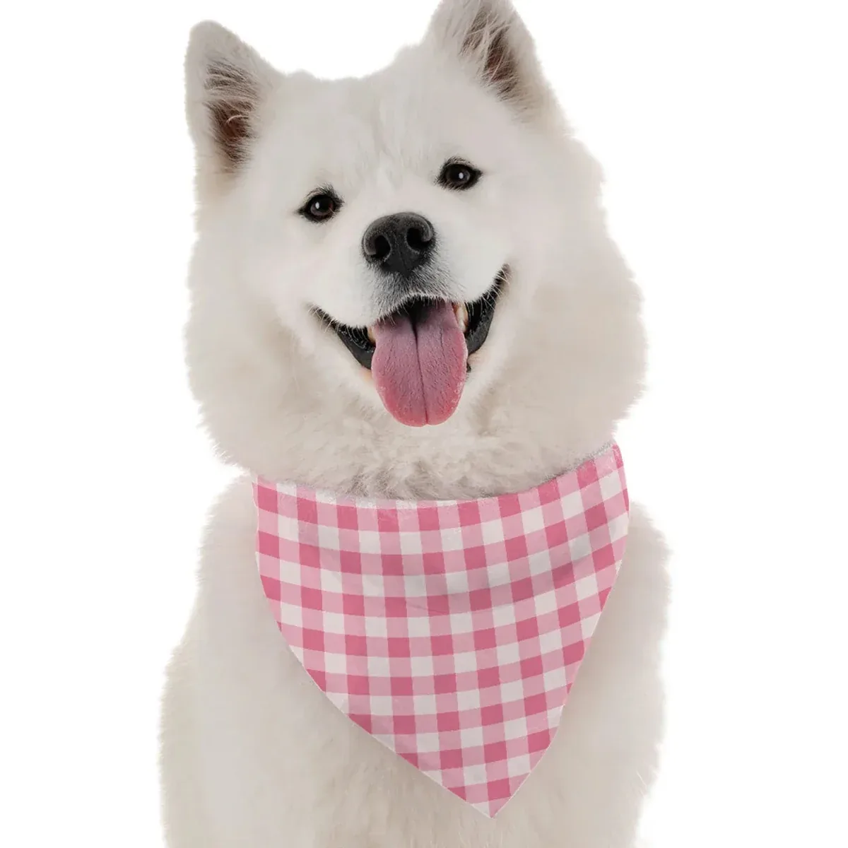 Pink Picnic Dog Bandana by BanDoggie