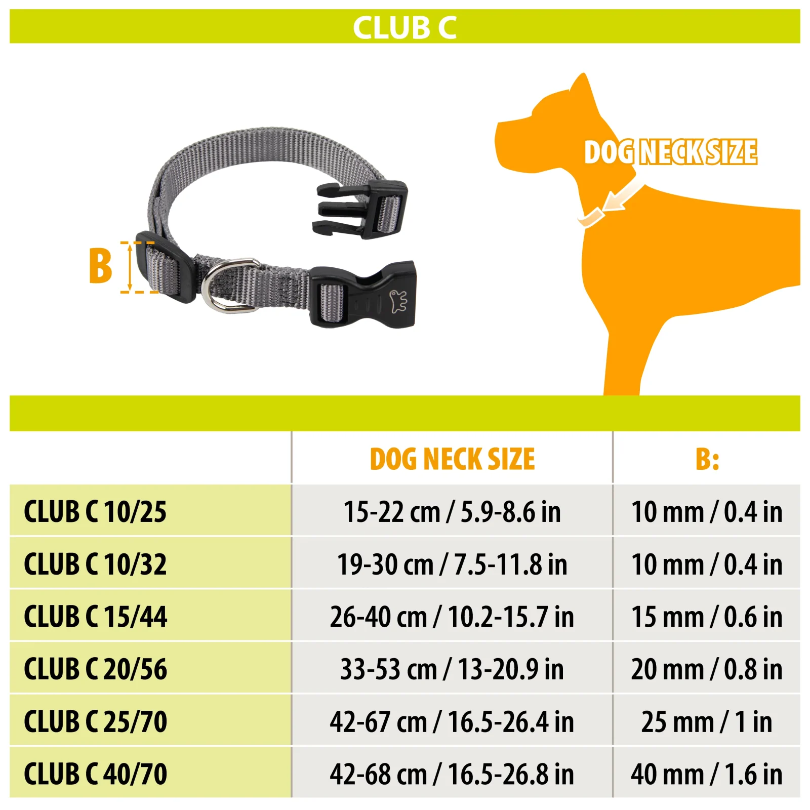 CLUB C - Image 2