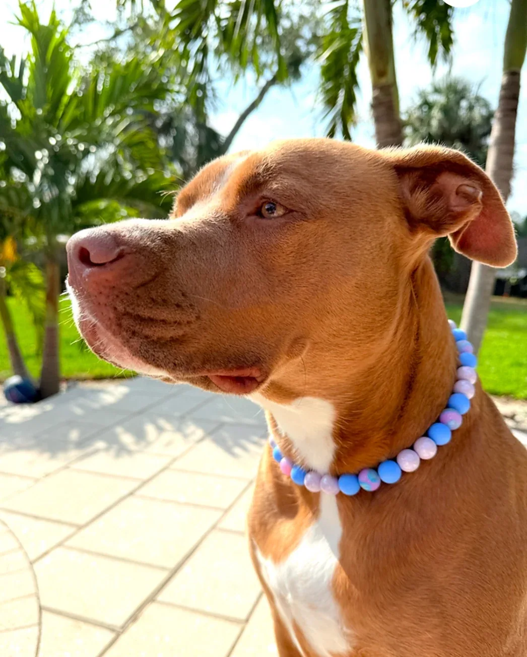 Cosmic Beaded Collar - Image 2
