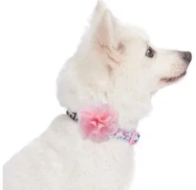 Light Blue Spring Collar with Flower - Image 2