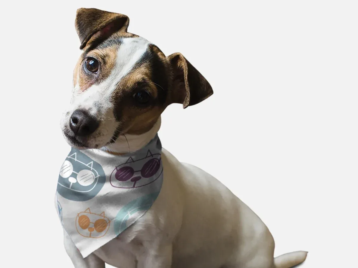 Caturday Saturday Dog Bandana by BanDoggies - Image 2
