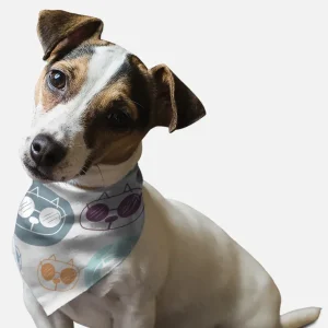 Caturday Saturday Dog Bandana by BanDoggies