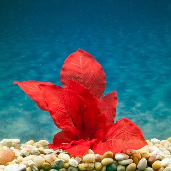 Azoo Real Plant Artificial Anubias - Red - Image 2