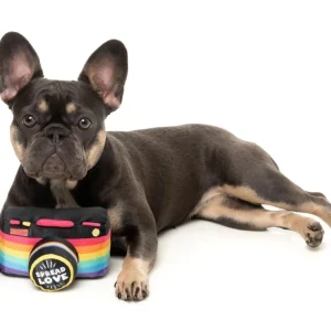 Spread Love Rainnow Camera Plush Toy