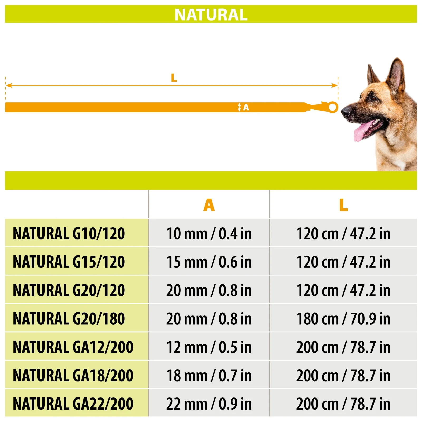 NATURAL GA - Image 2
