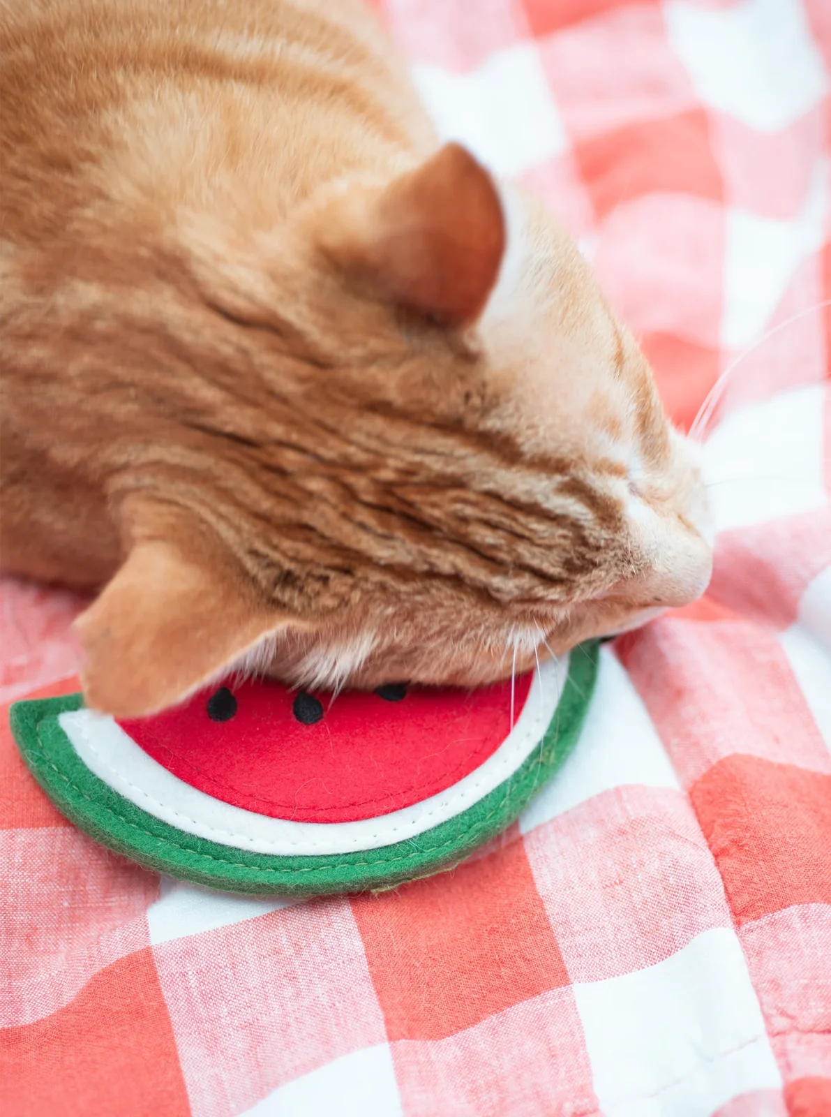 WATERMELON CATNIP TOY - Image 2