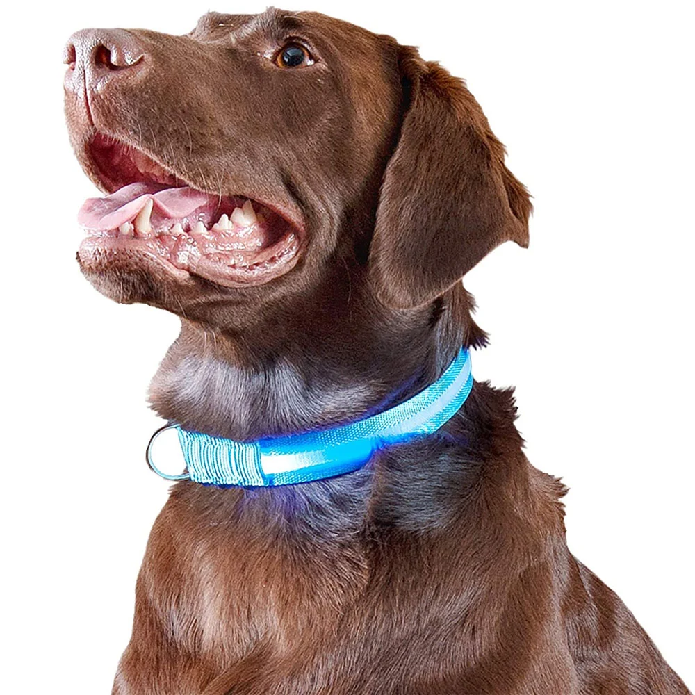 Furhaven LED Safety Pet Collar - Blue (Extra Large)