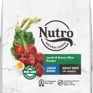 Nutro Natural Choice Large Breed Adult Lamb & Rice Dry Dog Food - 30 lb Bag