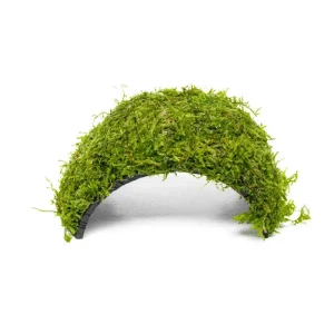 Christmas Moss on Coconut Shell Bridge