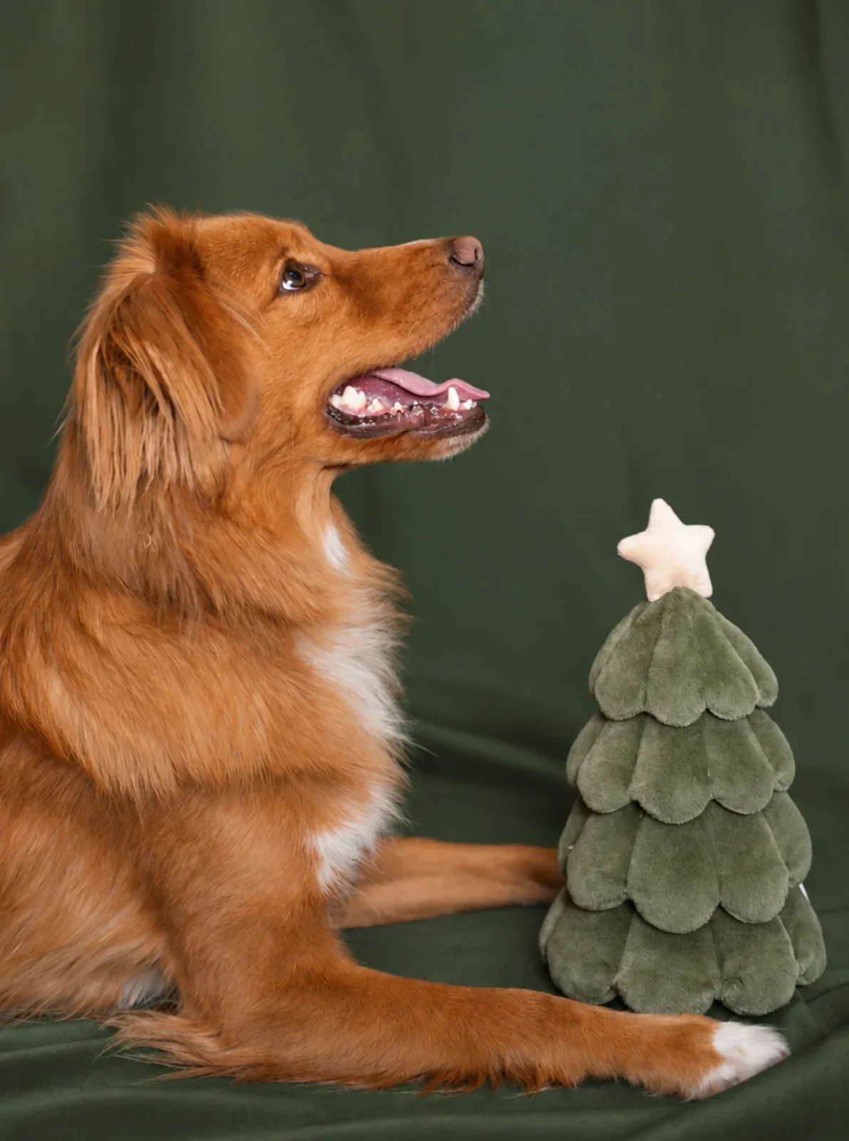 THE FESTIVE TREE DOG TOY - Image 2