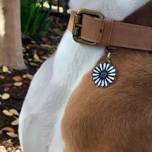 Daisy Pet ID Tag