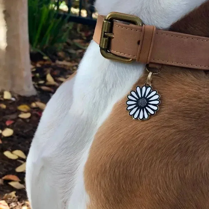 Daisy Pet ID Tag