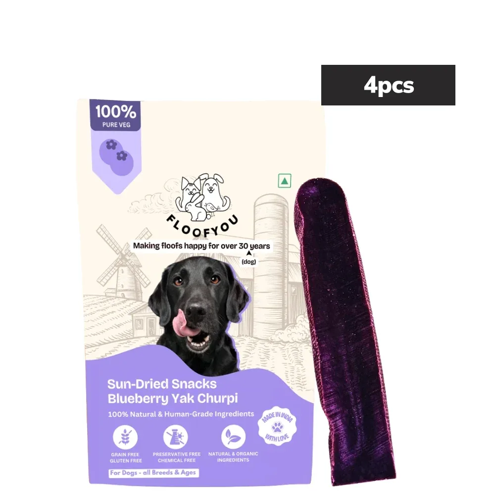 Floofyou Sun Dried Pure Veg Blueberry Yak Chew Bars Dental Dog Treats - Image 2