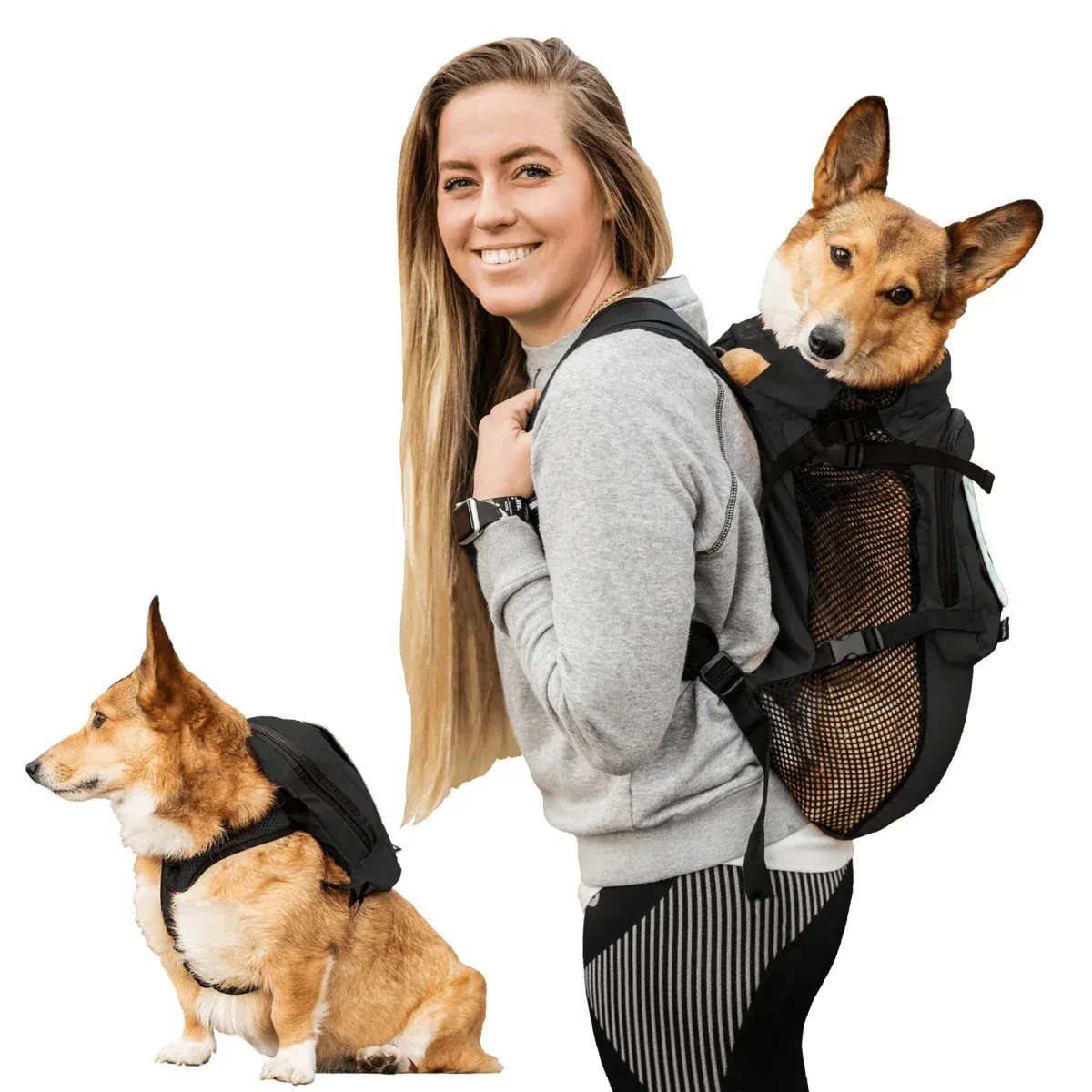 Walk-On with Dog Harness & Storage - Image 2