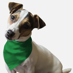 Green Green Grass Dog Bandana by BanDoggie