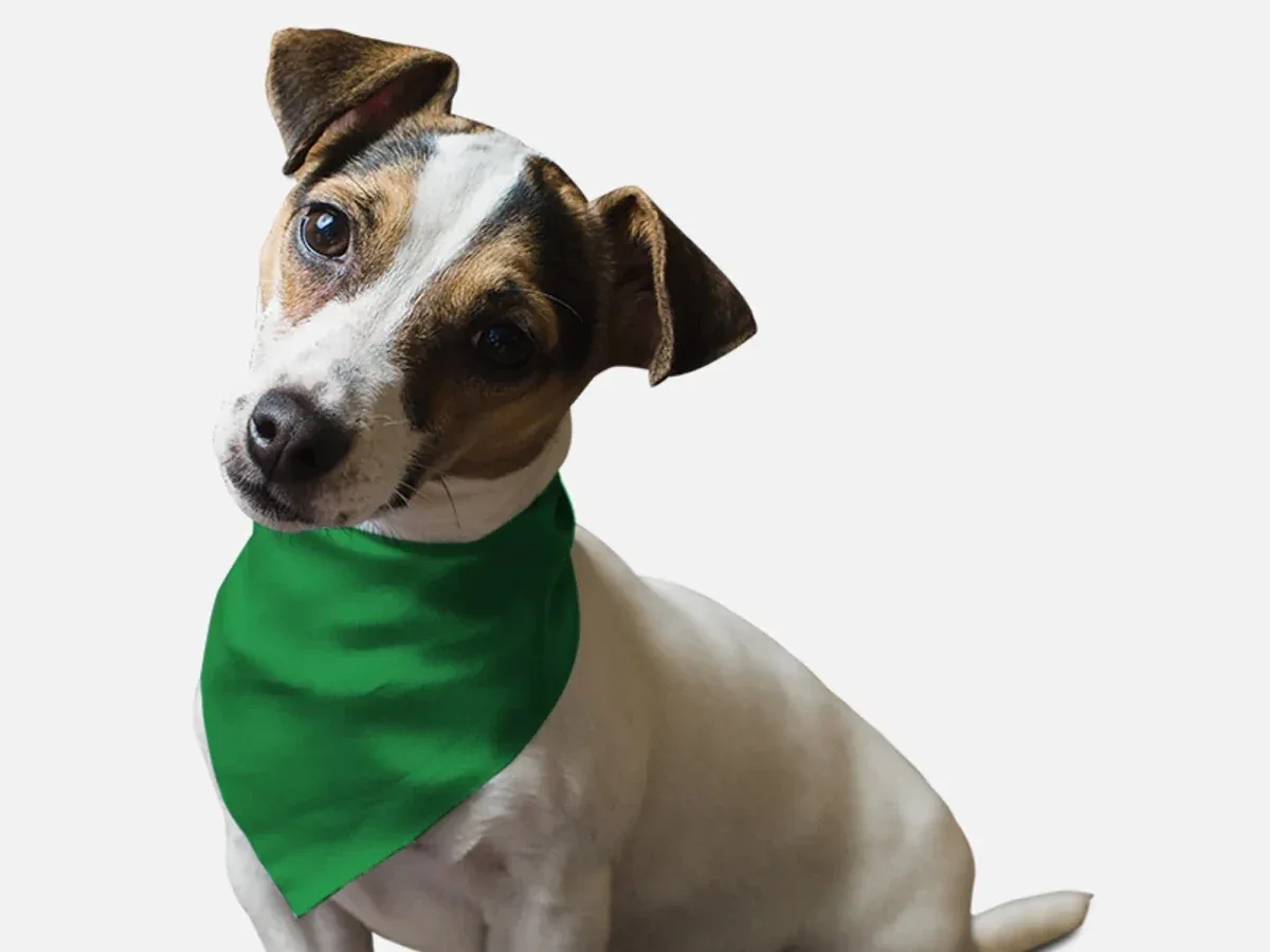 Green Green Grass Dog Bandana by BanDoggie