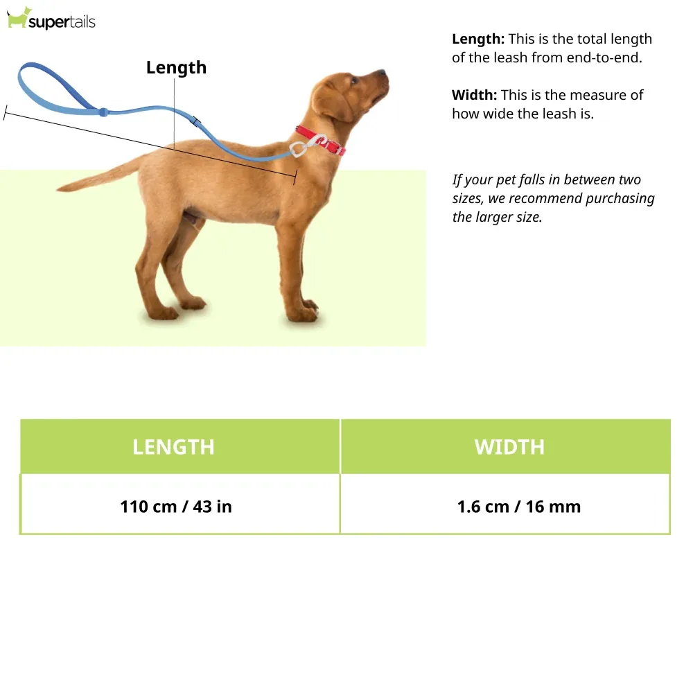 Hunter Modern Art Round and Soft Petit Leash for Dogs (Black) - Image 2