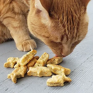 Classic Kitty Cookies - Catnip & Cheese