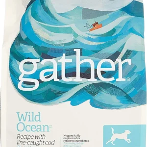 Petcurean Gather Wild Ocean Fish Dry Dog Food - 6 lb Bag