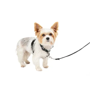 Easy Walk® 3 in 1 Harness