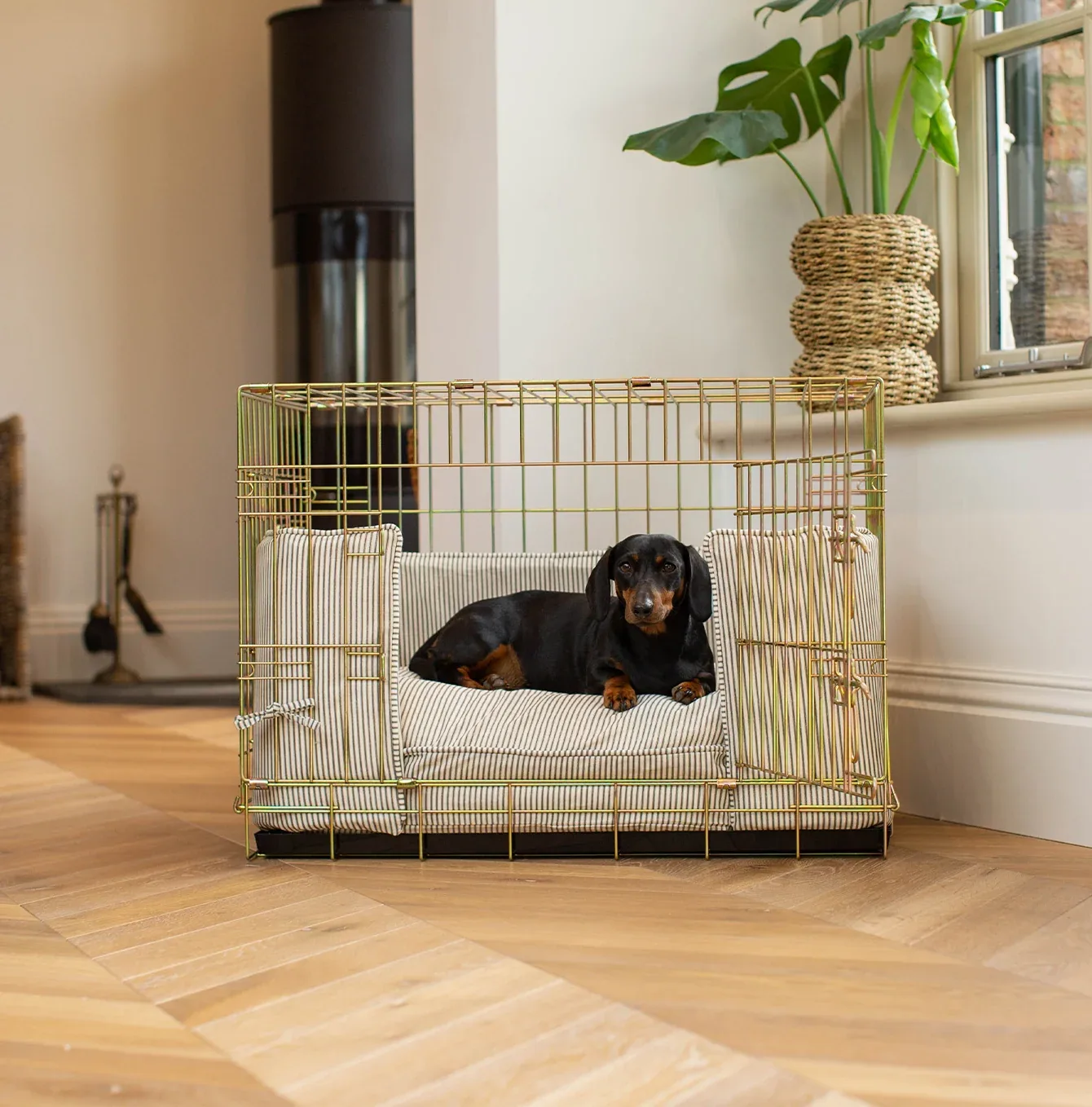 Dog Crate with Cushion & Bumper in Regency Stripe by Lords & Labradors