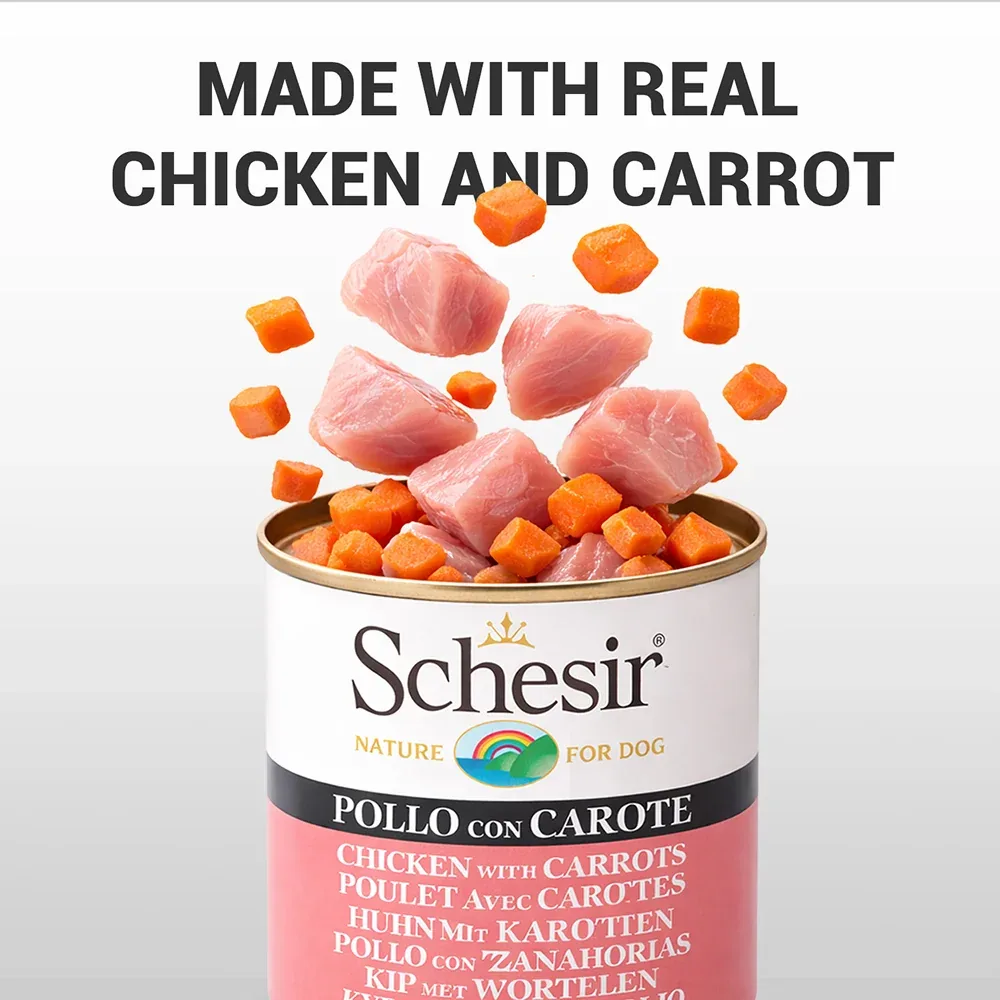 Schesir Chicken & Rice with Carrot in Jelly Dog Wet Food - Image 2