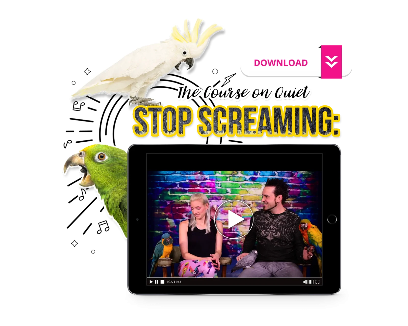 Stop Screaming: The Course on Quiet - Image 2