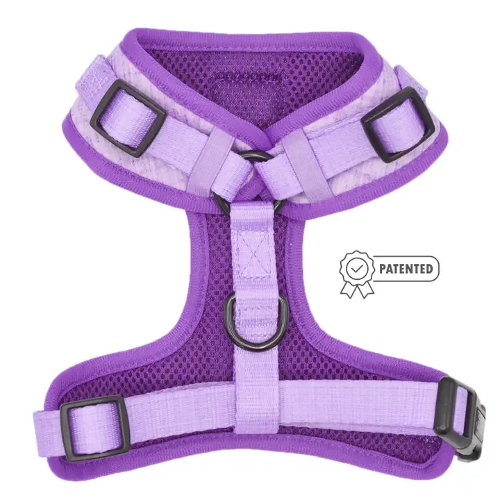 Purple Aurora Adjustable Harness - Image 2