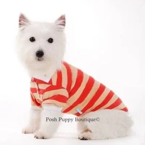 Stripe Polo Shirt in Red