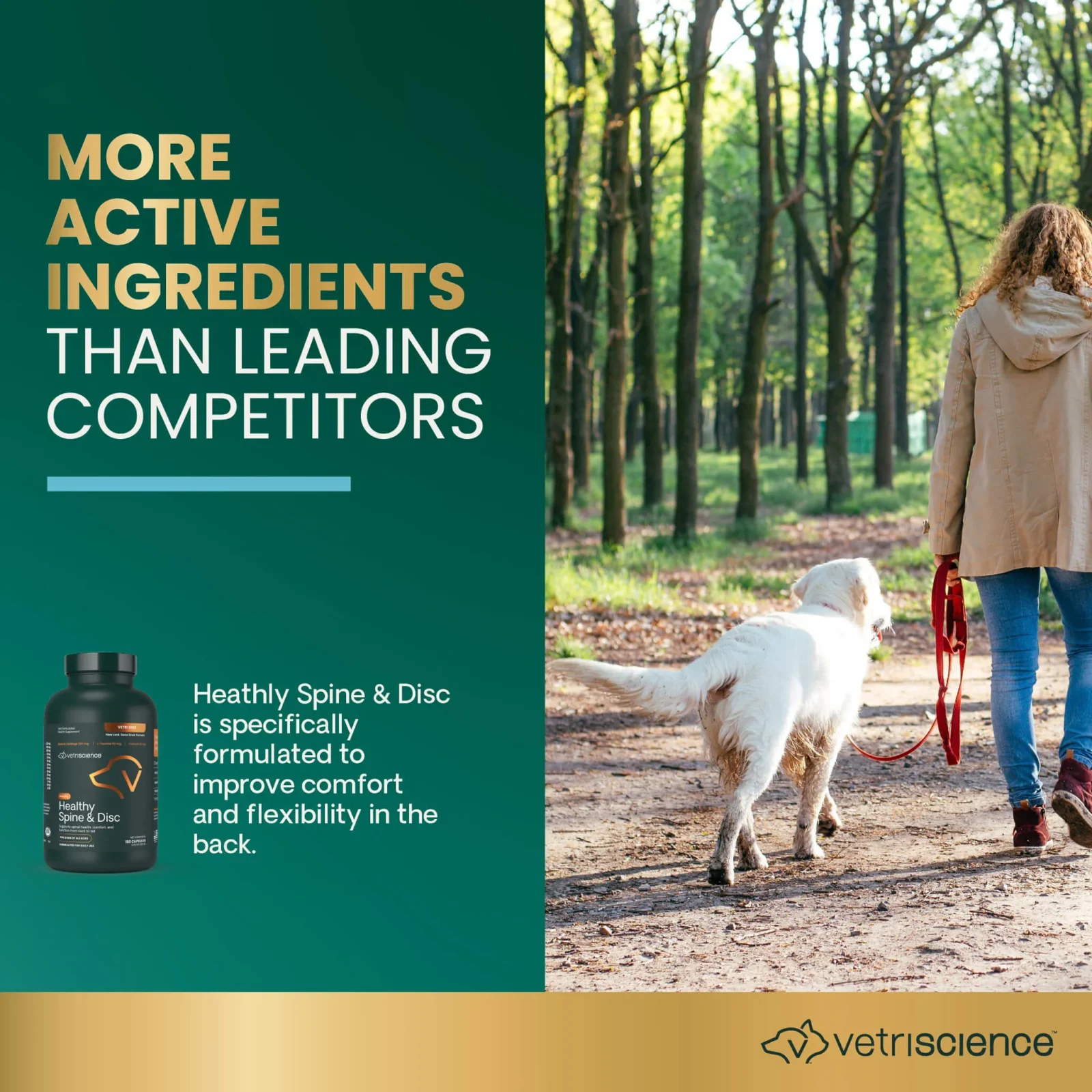 VetriScience Healthy Spine & Disc Supplement for Dogs - Image 2