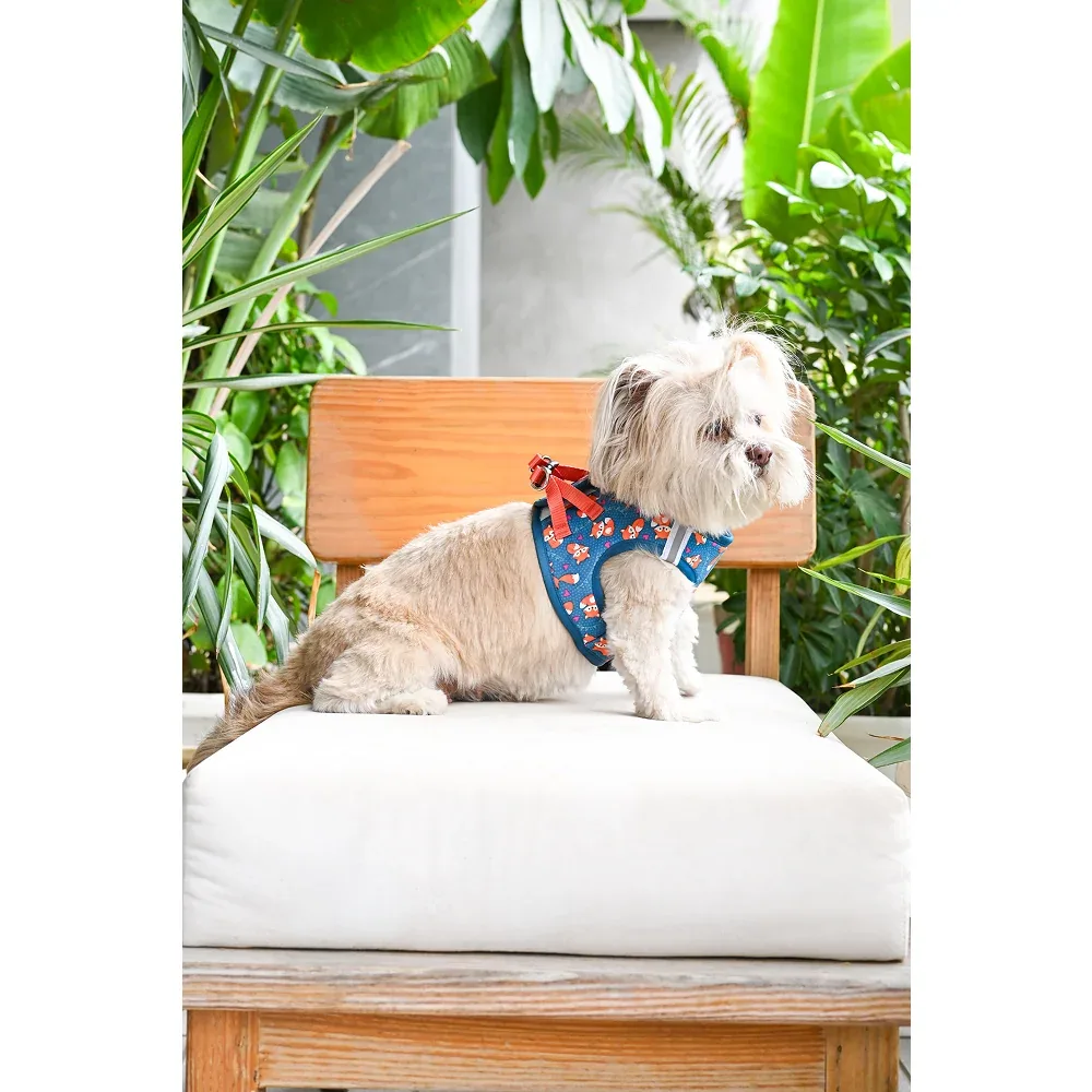 Pets Way Foxie Air Mesh Printed Harness for Puppies and Small Dogs - Image 2