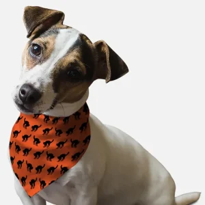 Scaredy Cat Dog Bandana by BanDoggies