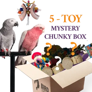 Chunky Toy Box (Bundle of 5)