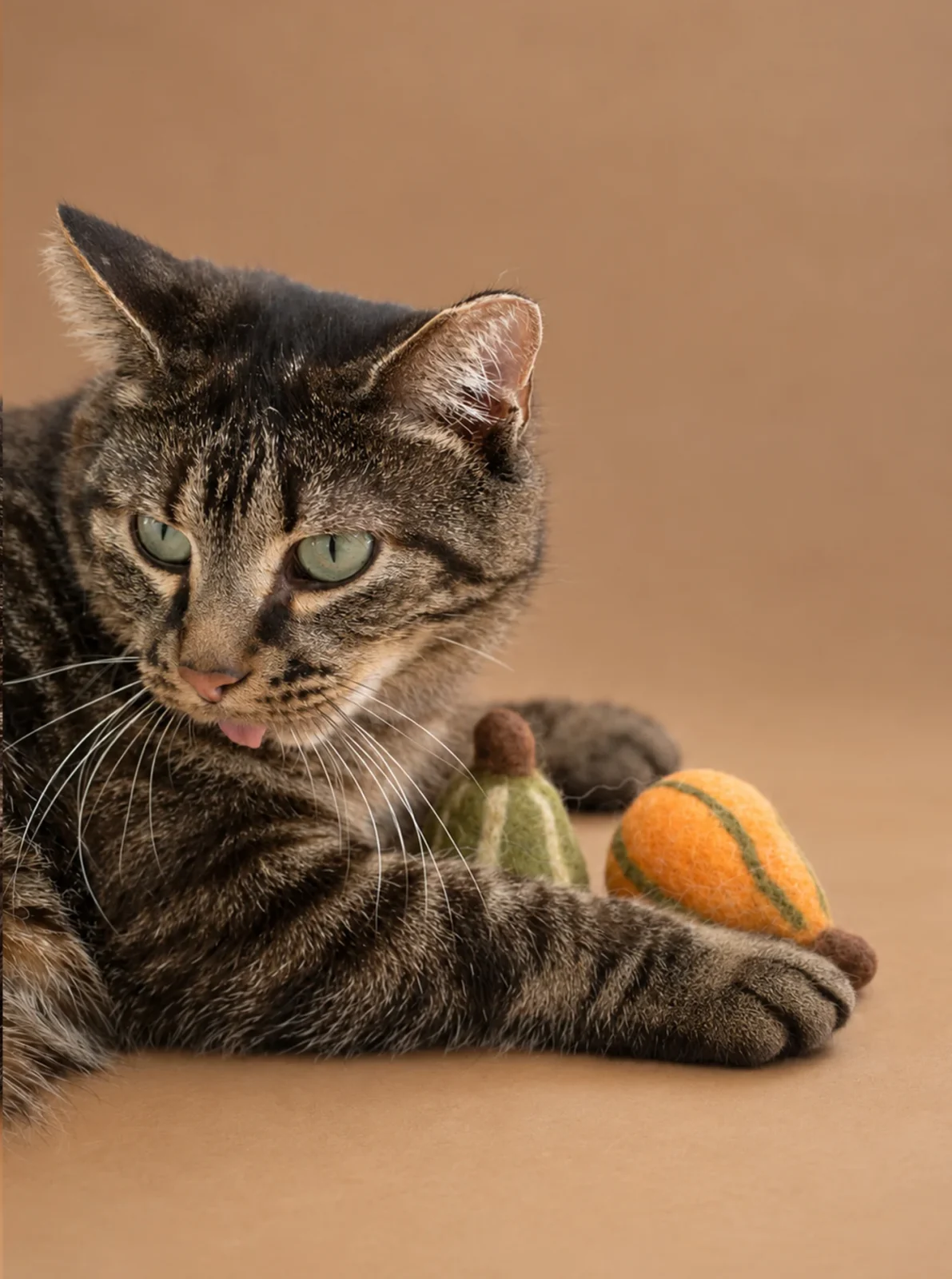FALL GOURDS WOOL CAT TOY SET - Image 2