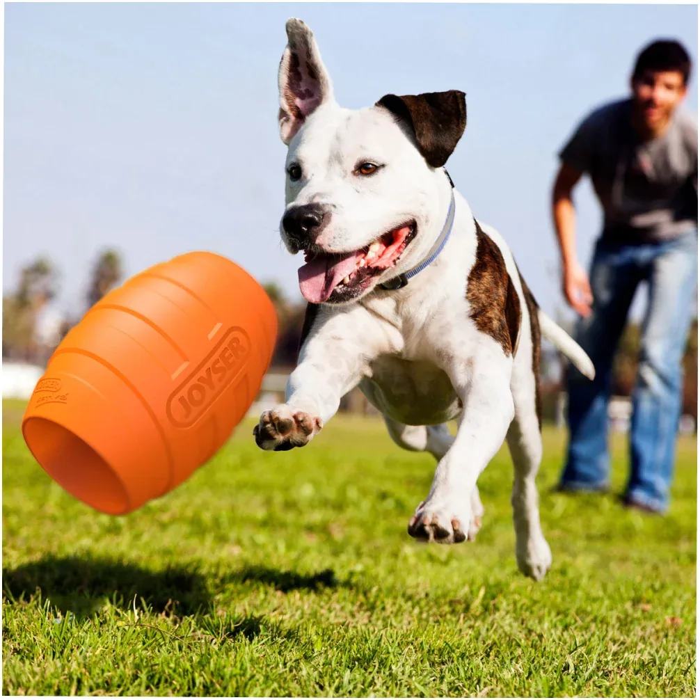 Joyser Active Holebarrel Toy for Dogs (Orange) - Image 2