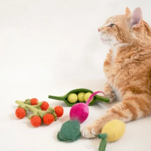 FARMER'S MARKET CAT TOY BUNDLE