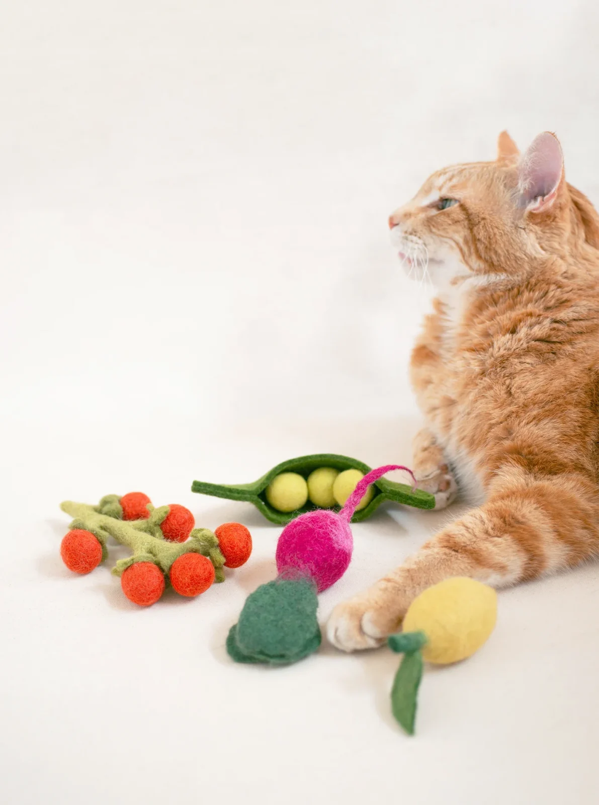 FARMER'S MARKET CAT TOY BUNDLE