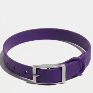 Skatrs Adjustable Collar for Dogs (Cosmic Purple)