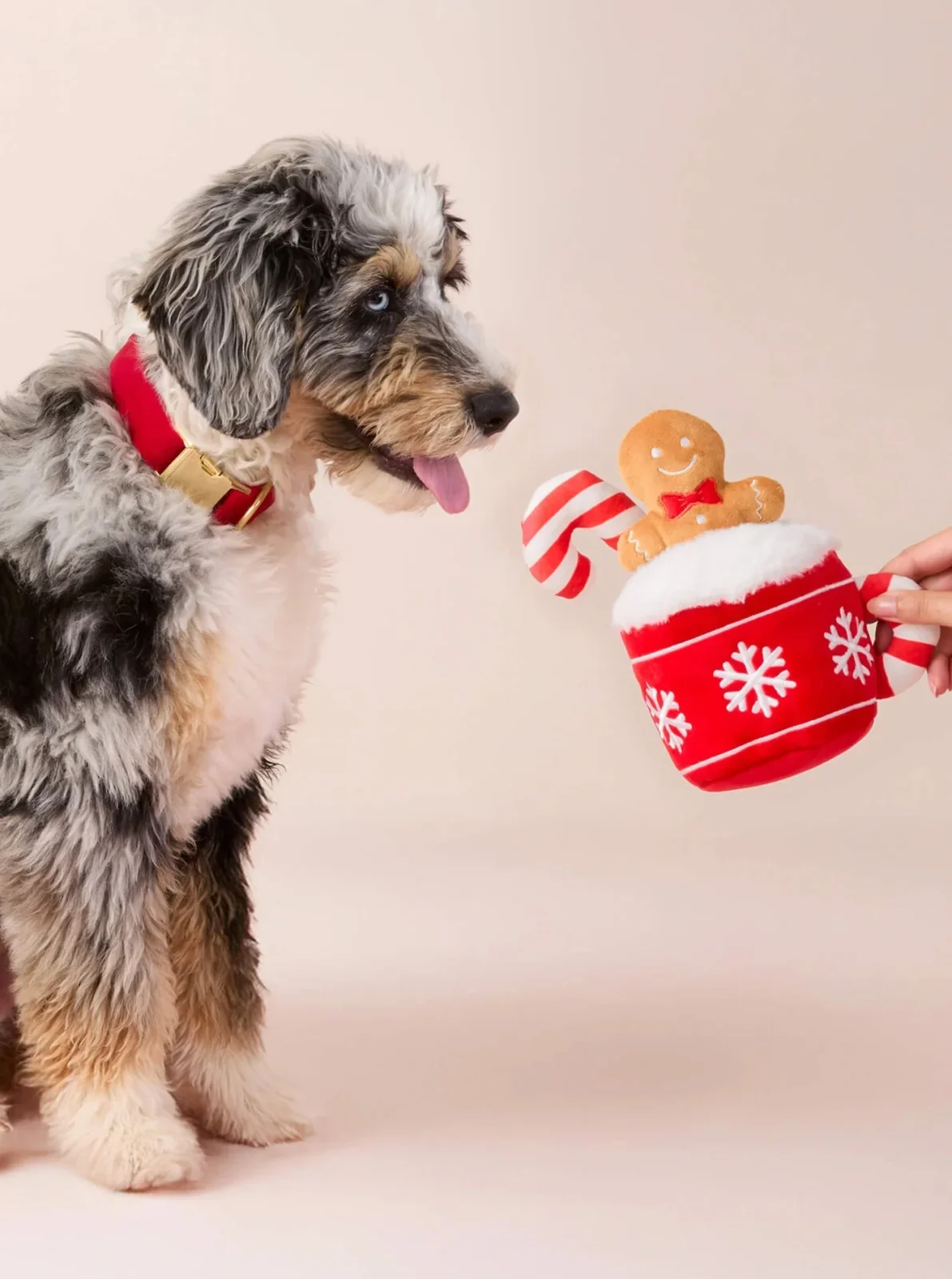 HOT COCOA ENRICHMENT DOG TOY - Image 2