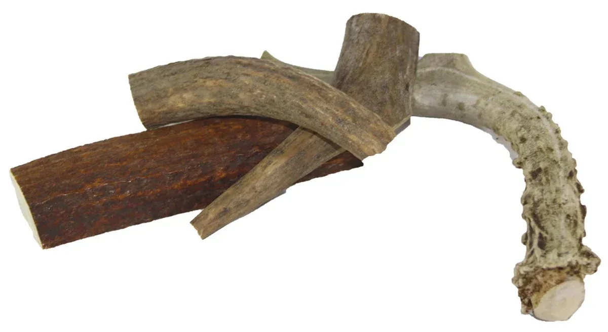 Planet Wise Products Deer Antler - 6 oz Dog Treats